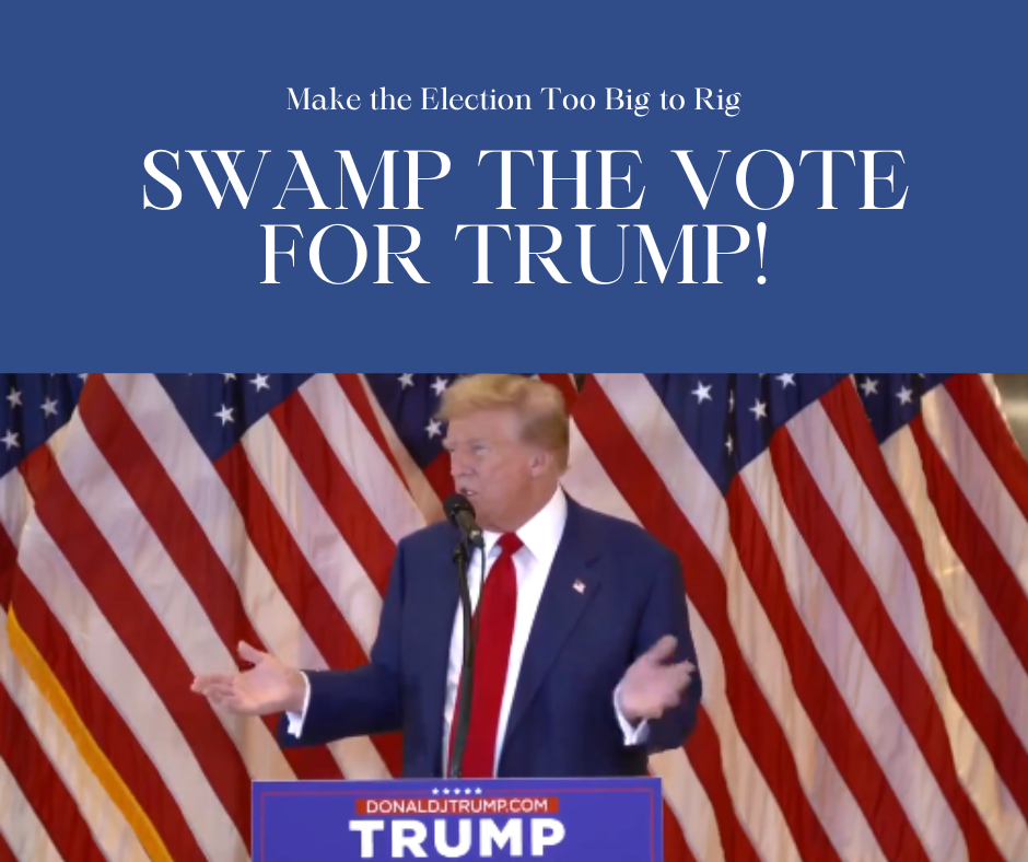 Election Battle 2024: Drain the Swamp and Swamp the Vote